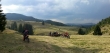 New enduro tour program